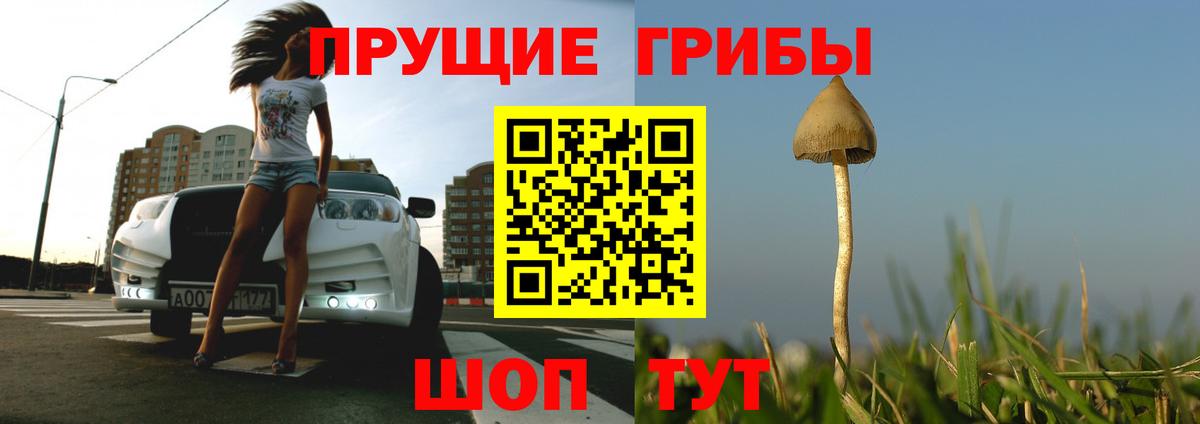 Псилоцибиновые грибы MAGIC MUSHROOMS  Вход с VPN  Лабинск 